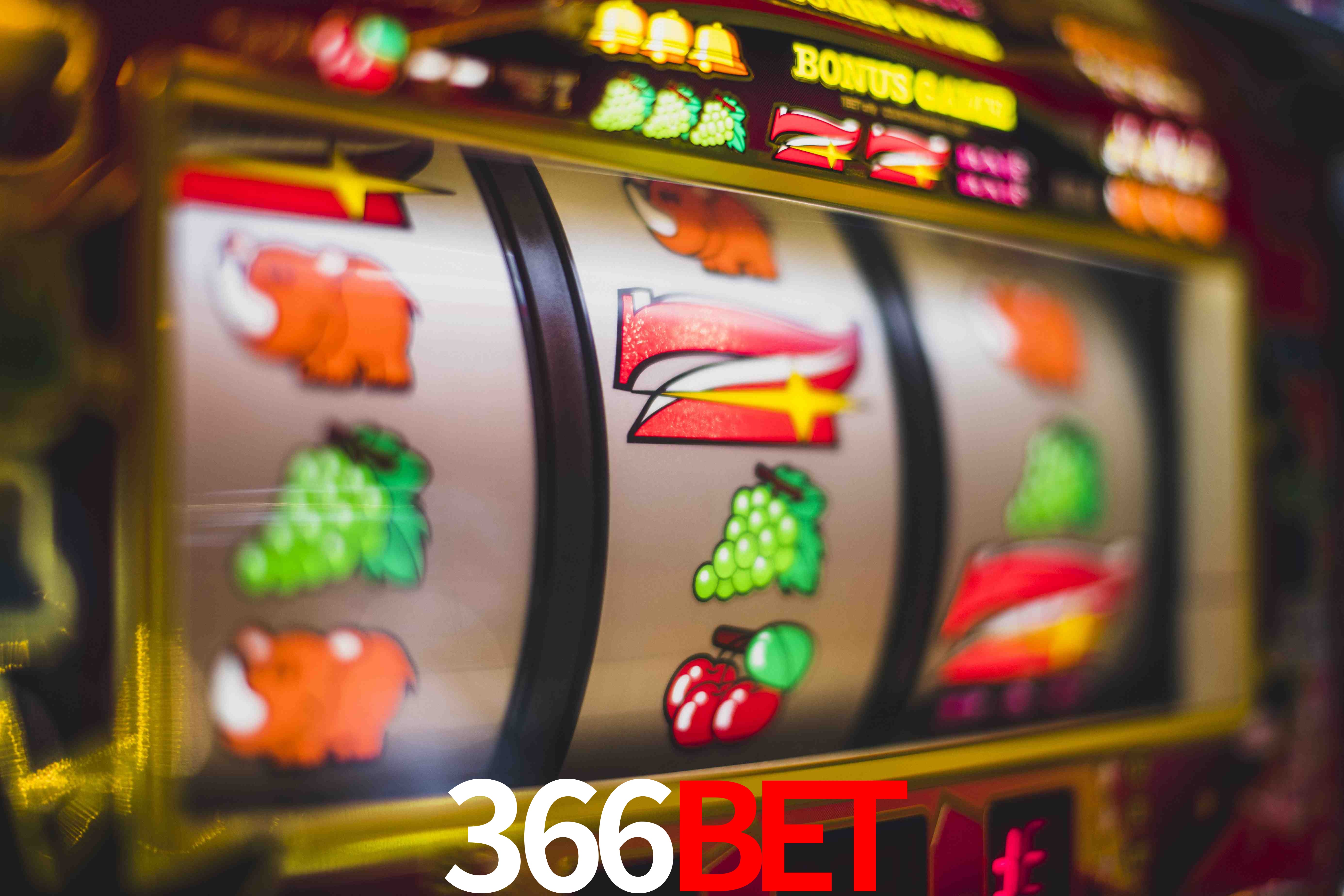 Tennis Betting 366bet